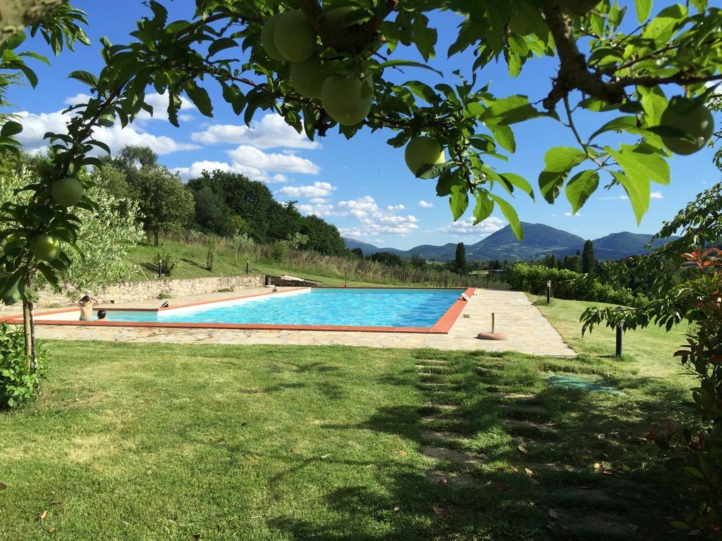 Agricola Caicucci Villa Montone  Rum bild