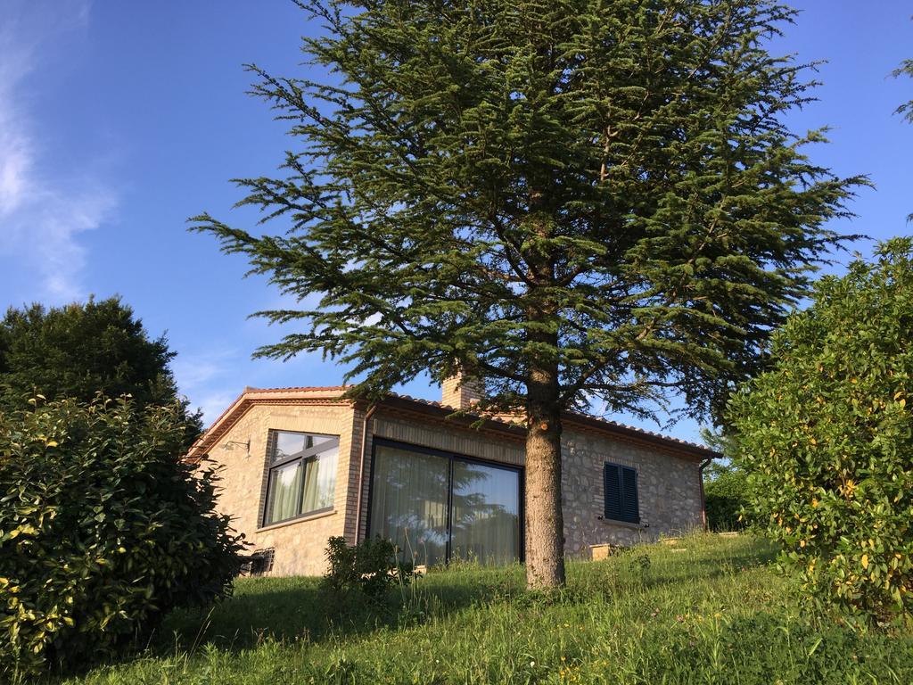 Agricola Caicucci Villa Montone  Rum bild