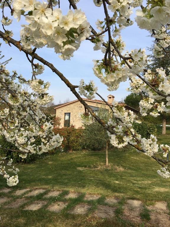 Agricola Caicucci Villa Montone  Exteriör bild